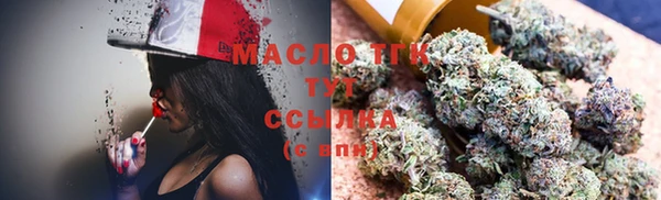 гидра Струнино
