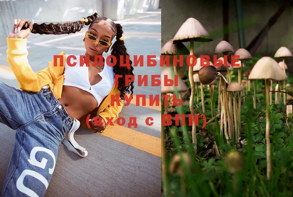 гидра Струнино