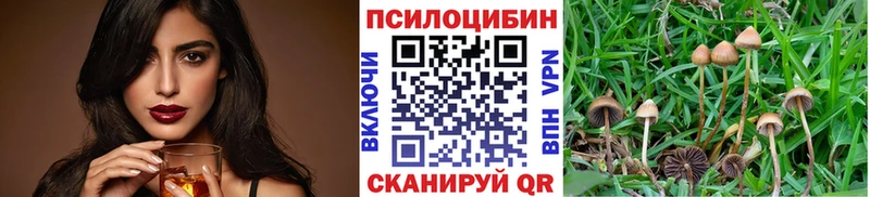 Галлюциногенные грибы GOLDEN TEACHER Купить где Карпинск